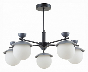 Люстра на штанге EVOLUCE Genova SLE220202-05