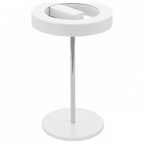 Настольная лампа декоративная Eglo Alvendre-s 95906