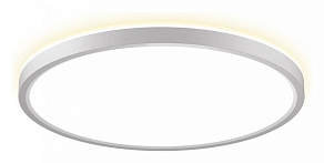 Накладной светильник Citilux NORMA CL748320