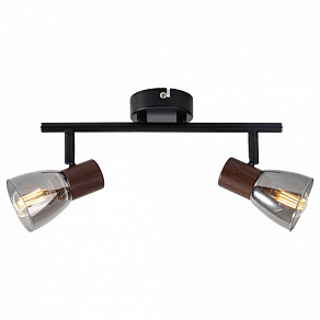 Спот TopLight Lavinia TL1233Y-02BB