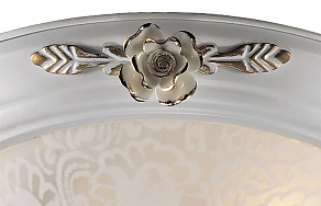 Накладной светильник Odeon Light Bone 2692/2C