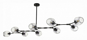 Подвесная люстра EVOLUCE Rametto SLE154843-09