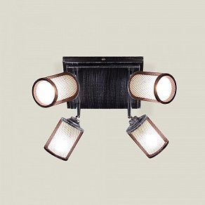 Спот Citilux Робин CL535541