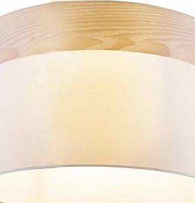 Подвесной светильник TopLight Mabel TL1121-1H