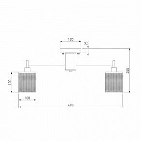 Потолочная люстра Eurosvet Tela 70109/5 хром