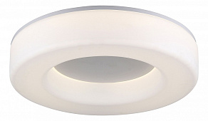 Накладной светильник ST-Luce Lordin SL886.512.01
