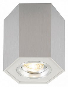 Накладной светильник Zumaline Polygon 20077-AL