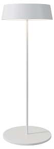 Наземный низкий светильник Maytoni Outdoor Porto O540TL-L2WCCT