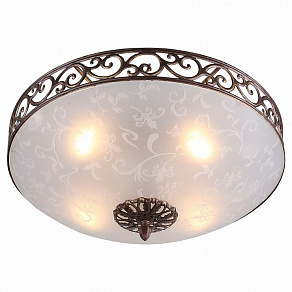 Накладной светильник ST-Luce SL244 SL244.202.04