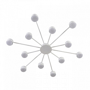 Потолочная люстра Lumion TORINA 8343/12C