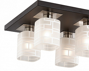 Накладной светильник Odeon Light Campus 2615/6C