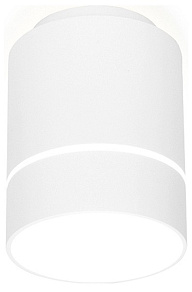 Накладной светильник Ambrella TN TN256