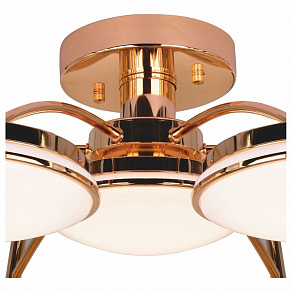 Потолочная люстра F-promo Ledante 2473-7P