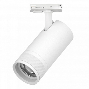 Светильник на штанге Lightstar Canno Pro C4306SS