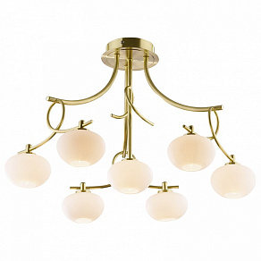 Потолочная люстра Odeon Light Rondo 1812/7C