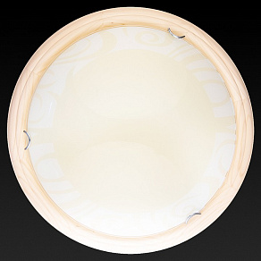 Накладной светильник TopLight Ginger TL9620Y-00PN