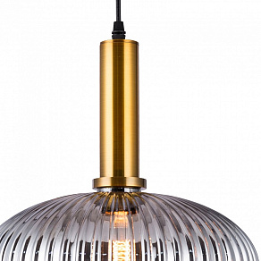 Подвесной светильник TopLight Pamella TL1224H-01SM