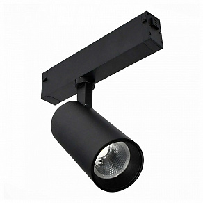 Светильник на штанге ST-Luce SKYLINE 220 ST660.496.10H