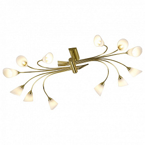 Люстра на штанге Odeon Light Hedys 1374/12