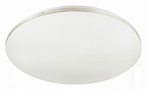 Накладной светильник Citilux Симпла CL714480G