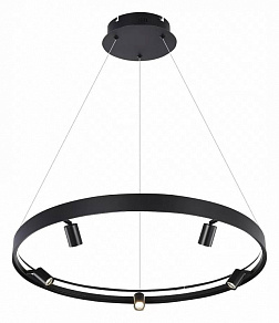 Подвесная люстра iLedex Vision 2060-D800 BK