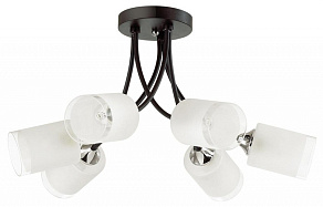 Люстра на штанге Lumion Paula 4533/6C