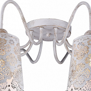 Потолочная люстра Arte Lamp 2032 A2032PL-8WG