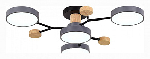 Потолочная люстра EVOLUCE Faema SLE6006-702-04