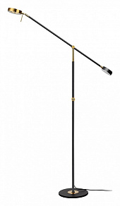 Торшер Odeon Light Denzel 4321/20FL