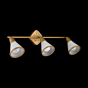 Спот Maytoni Luther ECO008-03-G