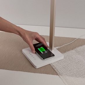 Настольная лампа офисная Elektrostandard Lori a039562