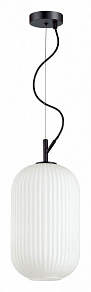 Подвесной светильник Odeon Light Roofi 4751/1