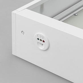 Накладной светильник Arlight EMERGENCY 034839