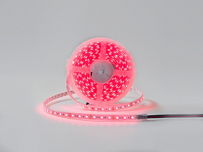 Лента светодиодная DesignLed DSG560 00-00001489
