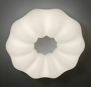 Накладной светильник Zortes SOFT ZRS.1118.4