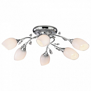 Потолочная люстра Odeon Light Fiera 1603/6