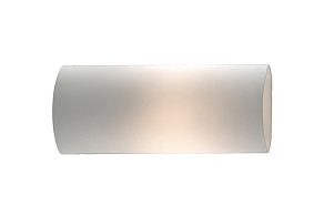Накладной светильник Odeon Light Dion 2042/1W