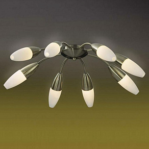 Потолочная люстра Odeon Light Chikko 2013/8C