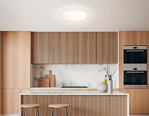 Накладной светильник Ambrella Light FZ FZ2001