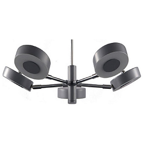 Люстра на штанге Freya Gabby FR6009PL-L55GR