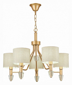 Подвесная люстра EVOLUCE Vilede SLE107003-05