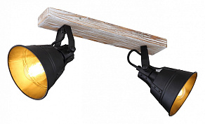 Спот Globo Gunther 15366S-2