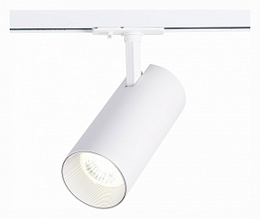 Светильник на штанге ST-Luce Mono ST350.546.30.36