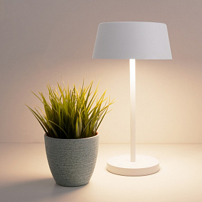 Настольная лампа декоративная Eurosvet Apollo 80424/1 белый