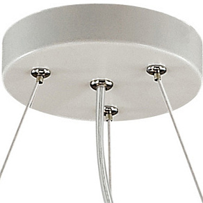 Подвесная люстра Favourite Vogel 1705-6P