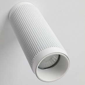 Накладной светильник Favourite Kinescope 2453-1C