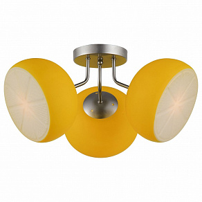 Потолочная люстра ST-Luce Arancio SL482.902.03
