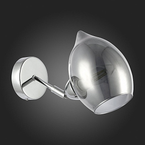 Бра EVOLUCE Rinno SLE102401-01
