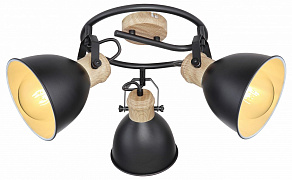 Спот Globo Wiho 54018-3S