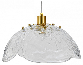 Подвесной светильник Indigo Amore 11051/1P Clear